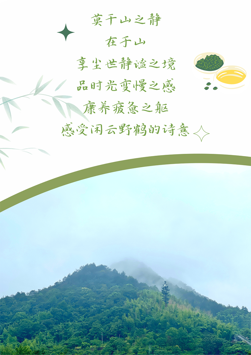 心心念廿 相伴z6com·尊龙 | 与德清相约 贺廿载诞辰